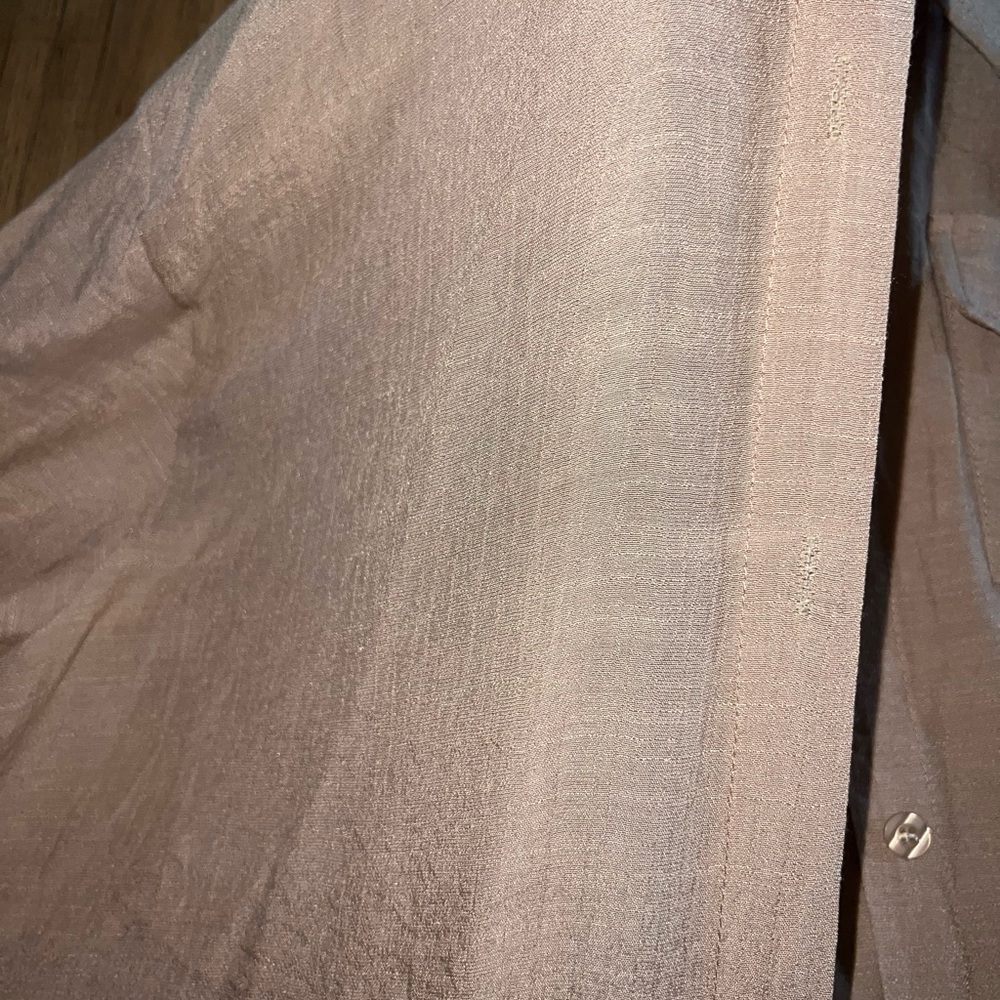 Sheer Button Up - image 3